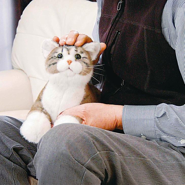 なでなでねこちゃんEX |  | 03