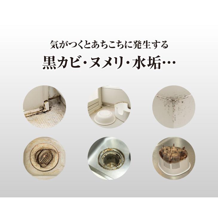 カビ取りジェル ジアハイパー 500ml 2本セット カビ取りクリーナー 浴室 トイレ 洗濯槽 パイプ 強力 黒カビ 除去 カビ取り剤 ジェル 粘性 密着 洗浄 特濃 日本製 |  | 01