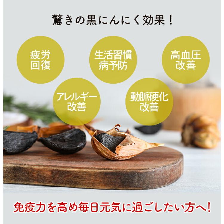 黒にんにく発酵器EX 黒にんにくメーカー 自家製 手作り 黒ニンニク
