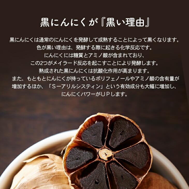 黒にんにく発酵器EX 黒にんにくメーカー 自家製 手作り 熟成 製造機