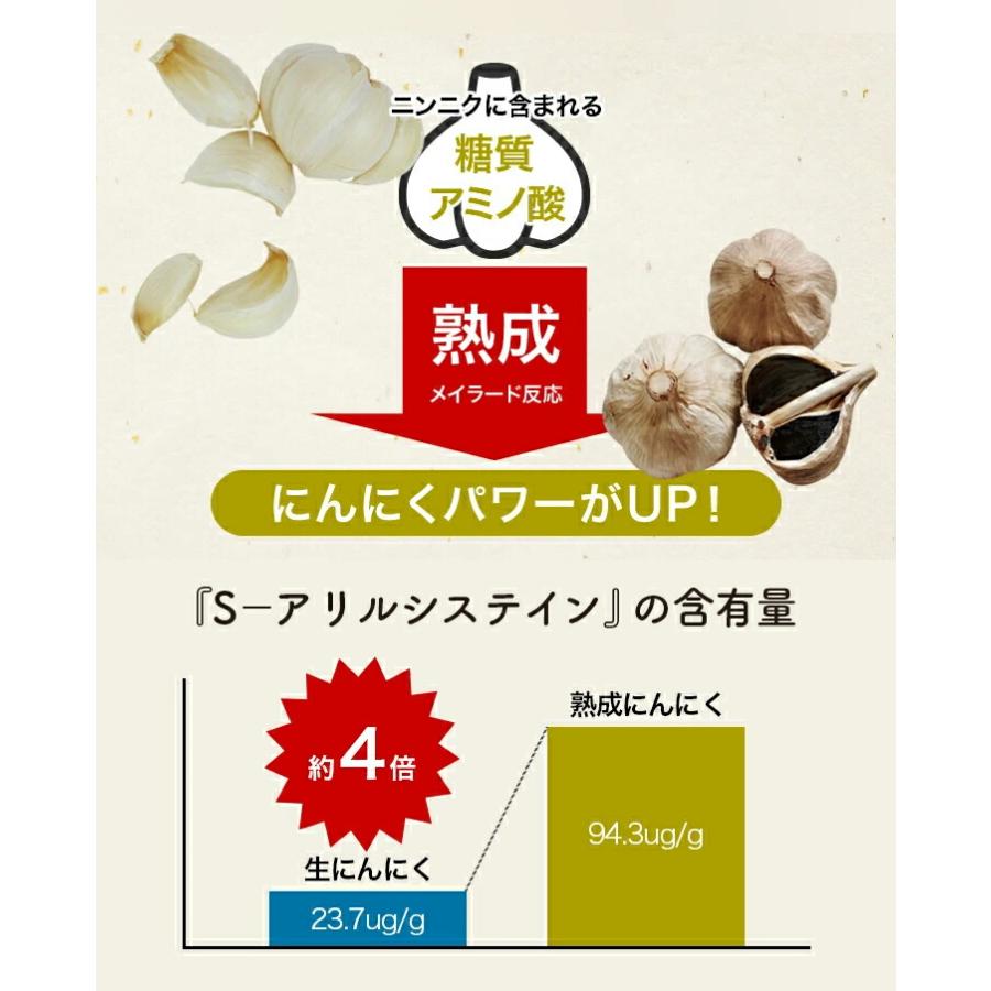 黒にんにく発酵器EX 黒ニンニク発酵器 黒にんにくメーカー 黒ニンニク機 黒 にんにく ニンニク 熟成 製造機 熟成器 発酵器 手作り 自家製 簡単 1年保証 |  | 09