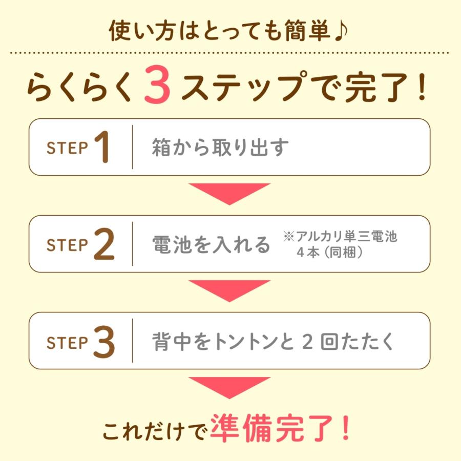 音声認識人形 スマイルけんちゃん |  | 09