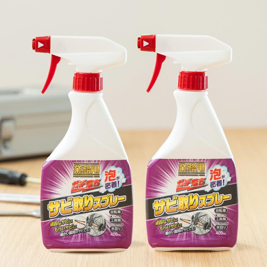 業務用 ガチ落ち サビ取り スプレー 2本組 サビ落とし クリーナー 日本製 | 