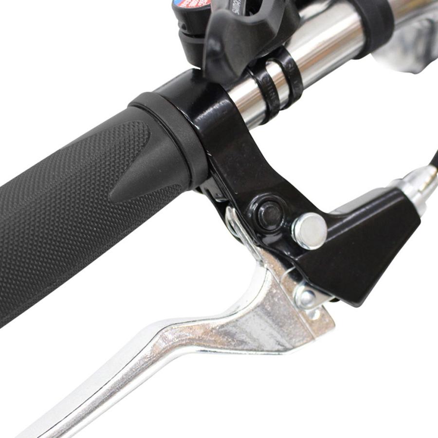 ノーパンク　ロータイプ電動アシスト三輪自転車 |  | 12