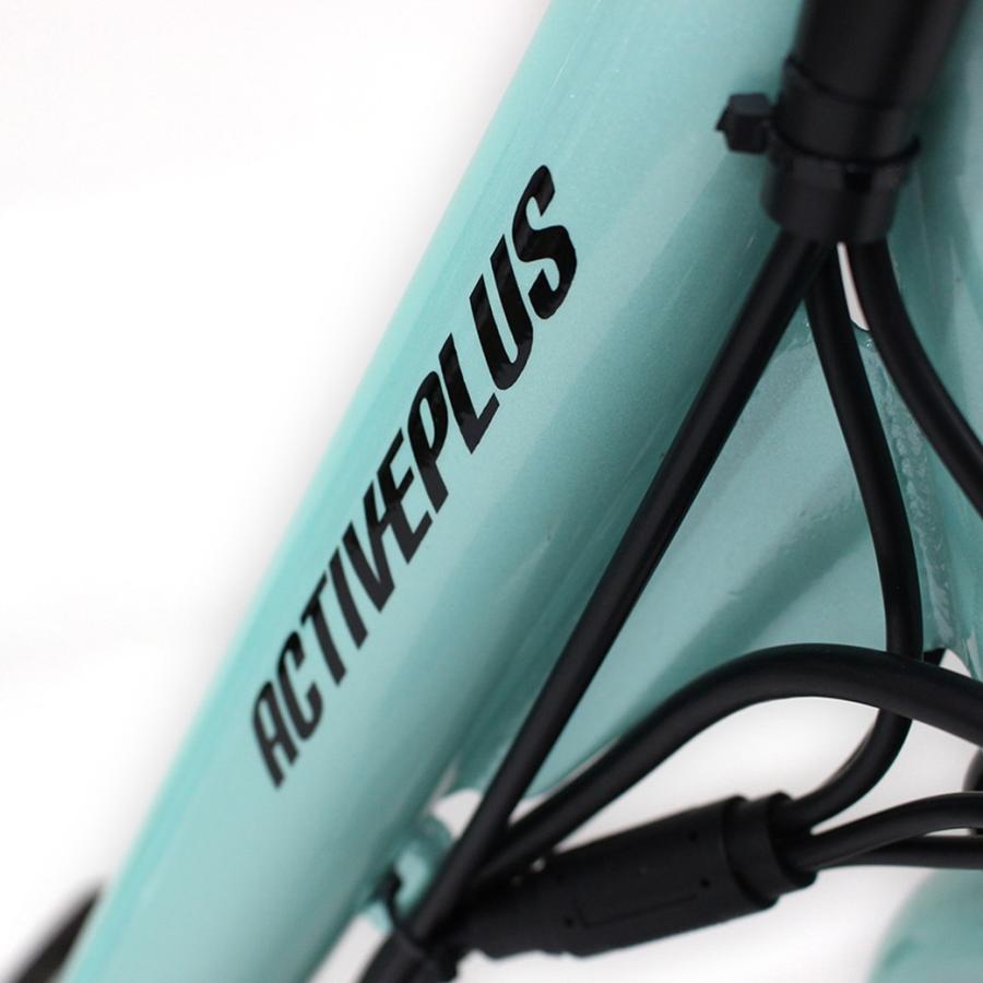 ノーパンク　ロータイプ電動アシスト三輪自転車 |  | 08