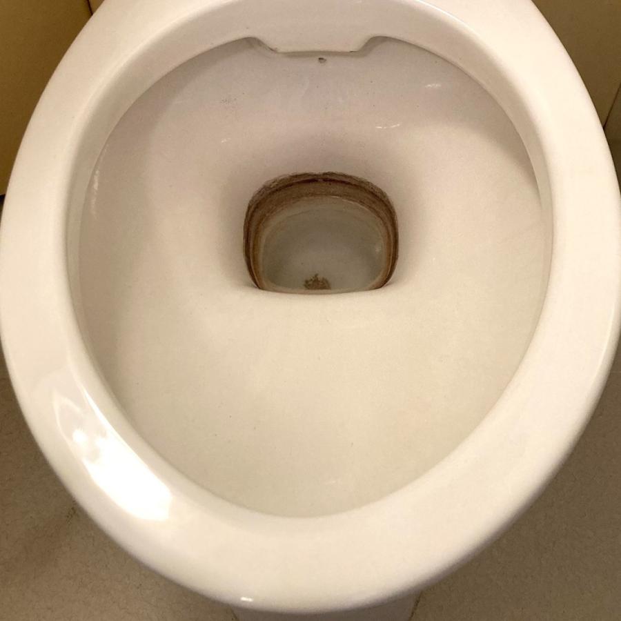 輝きが戻るトイレタンク洗浄剤 16包 |  | 05