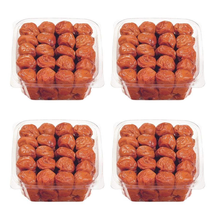 紀州南高梅 お徳用 うす塩梅 1.6kg(400g×4パック) 梅干し 低塩 完熟 国産 紀州産 お徳用 ギフト 家庭用 美味しい ご飯のお供 | 