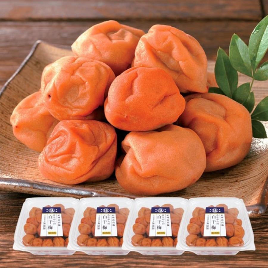 紀州南高梅お徳用無添加白干梅 梅干し 1.6kg 塩のみ 塩だけ 昔ながら 紀州産 国産 完熟 すっぱい 焼酎割り おにぎり |  | 01