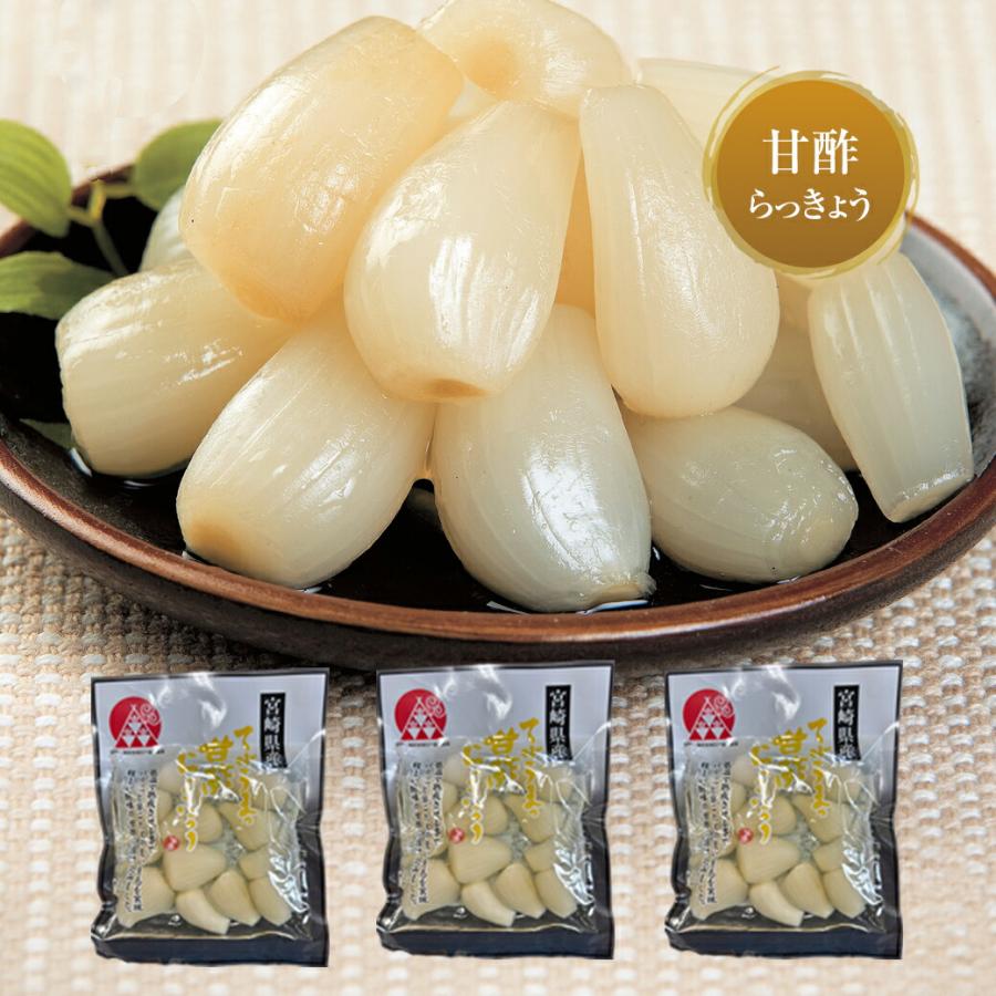 宮崎産らっきょう 甘酢 80g×3袋 国産らっきょう らっきょう 国産 らっきょう漬け ラッキョウ 甘酢らっきょ | 