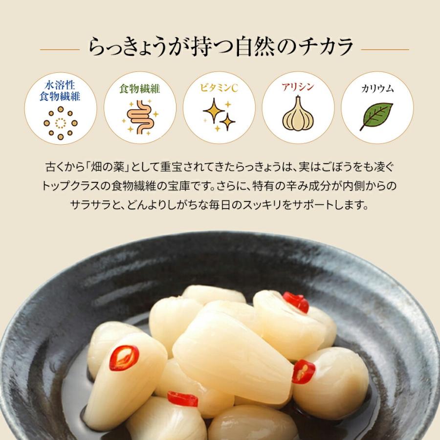 宮崎産らっきょう 甘酢 80g×3袋 国産らっきょう らっきょう 国産 らっきょう漬け ラッキョウ 甘酢らっきょ |  | 10