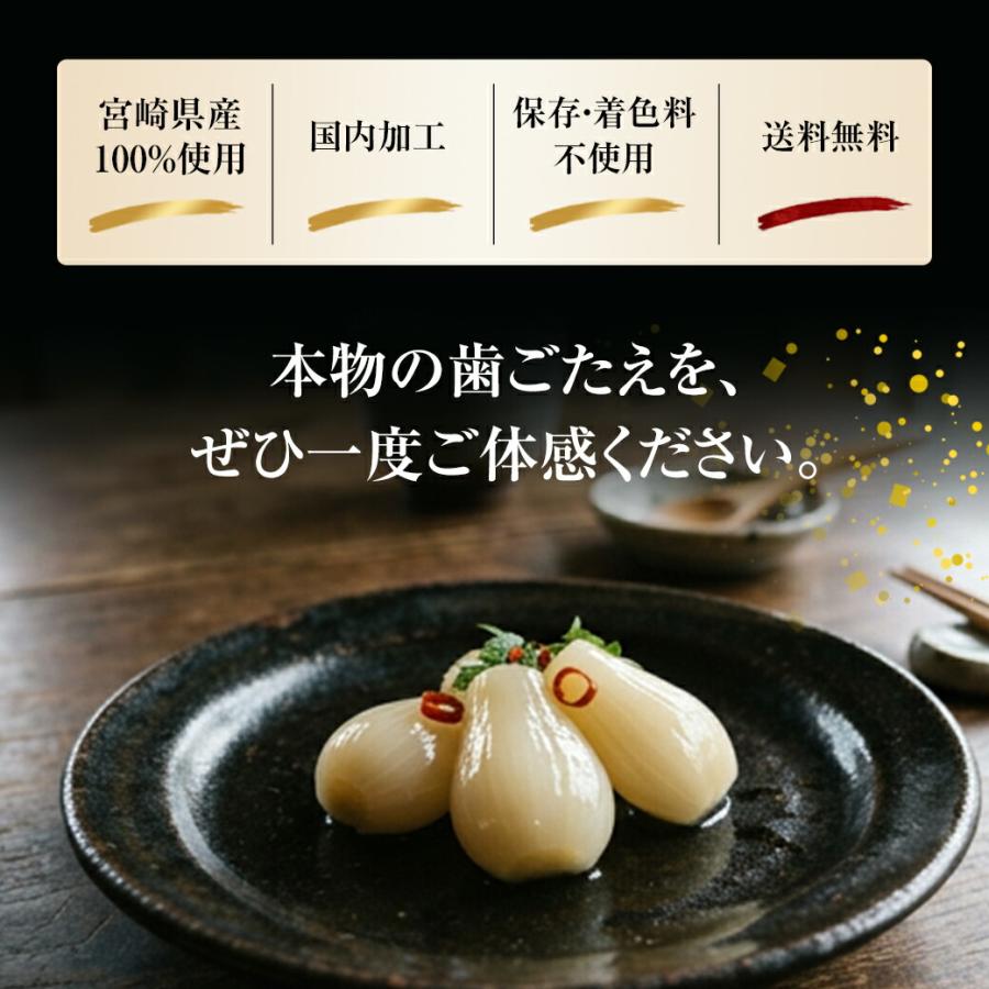 宮崎産らっきょう 甘酢 80g×3袋 国産らっきょう らっきょう 国産 らっきょう漬け ラッキョウ 甘酢らっきょ |  | 12