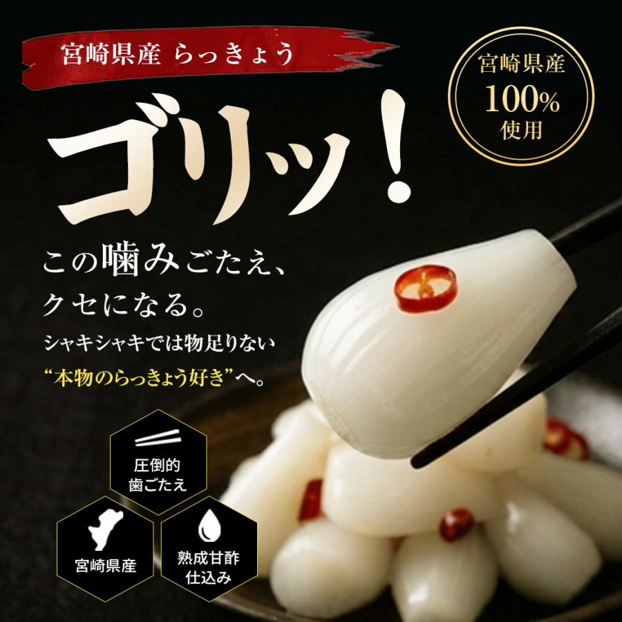 宮崎産らっきょう 甘酢 80g×3袋 国産らっきょう らっきょう 国産 らっきょう漬け ラッキョウ 甘酢らっきょ |  | 03