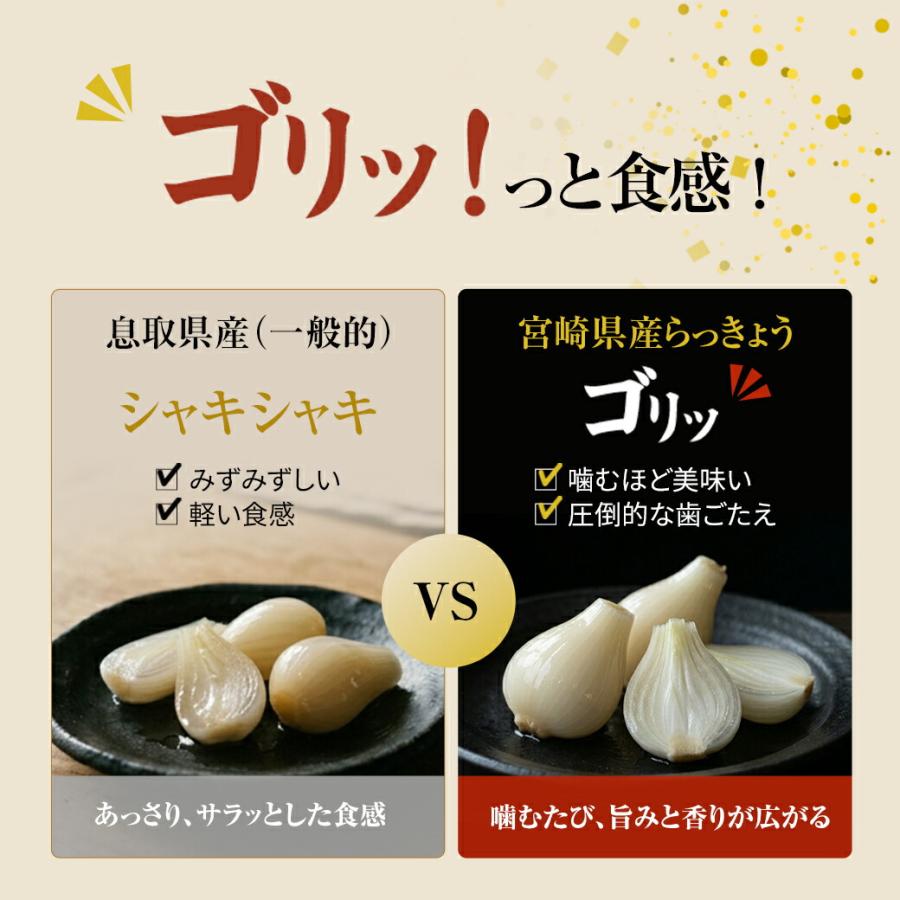 宮崎産らっきょう 甘酢 80g×3袋 国産らっきょう らっきょう 国産 らっきょう漬け ラッキョウ 甘酢らっきょ |  | 05