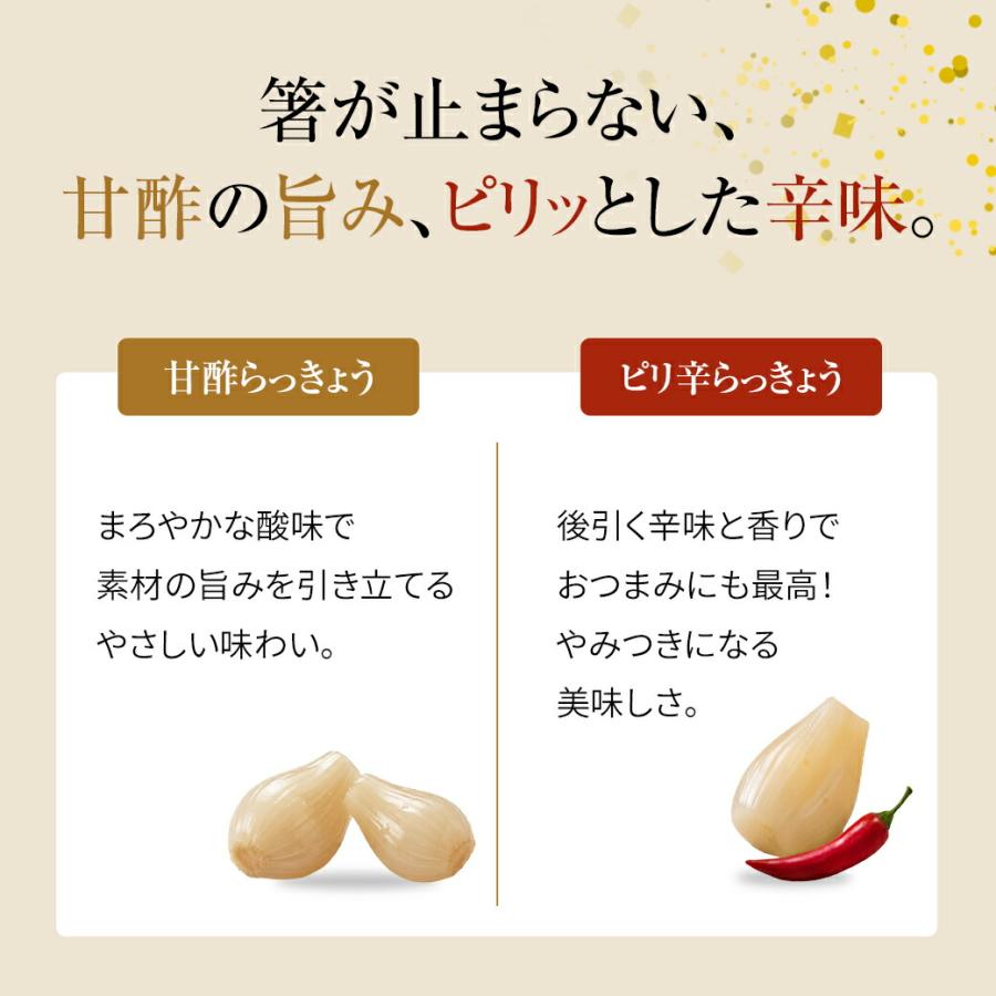 宮崎産らっきょう 甘酢 80g×3袋 国産らっきょう らっきょう 国産 らっきょう漬け ラッキョウ 甘酢らっきょ |  | 07