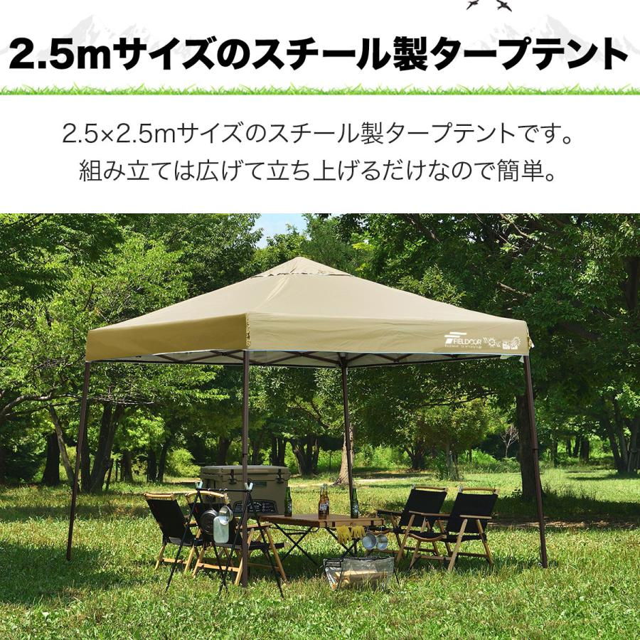 タープテント アウトドア  ありがとうございました！ Amazon.co.jp: ToopTapu タープテント 【組立と運び簡単!!】【センター