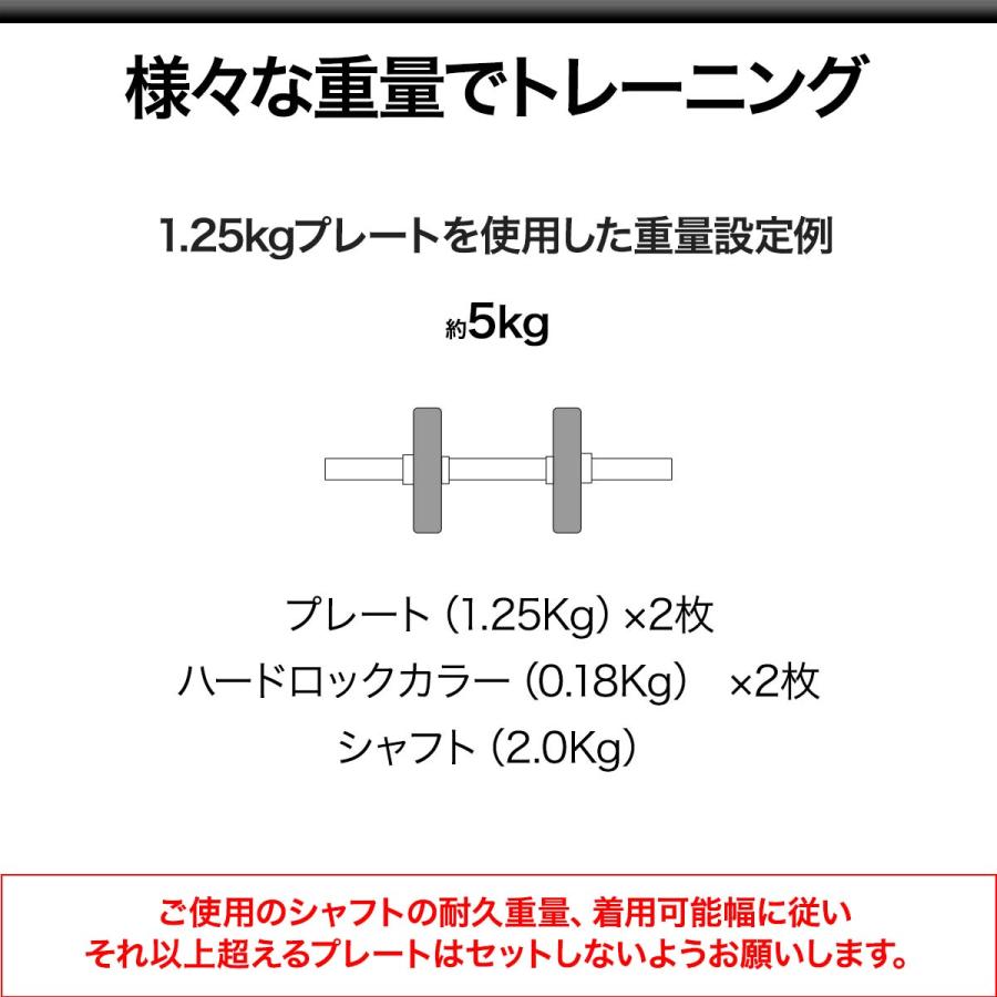 直接引渡し限定！28mm仕様ALEXダンベル、バーベルプレート62.5kgセット 楽天市場】【日本総代理店】ALEX社製 BPB ペイントプレート