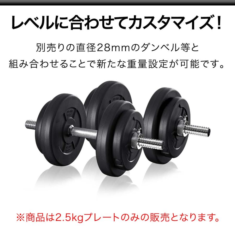ダンベルセット用 2.5kg プレート 2個セット ウエイト 筋トレ 器具
