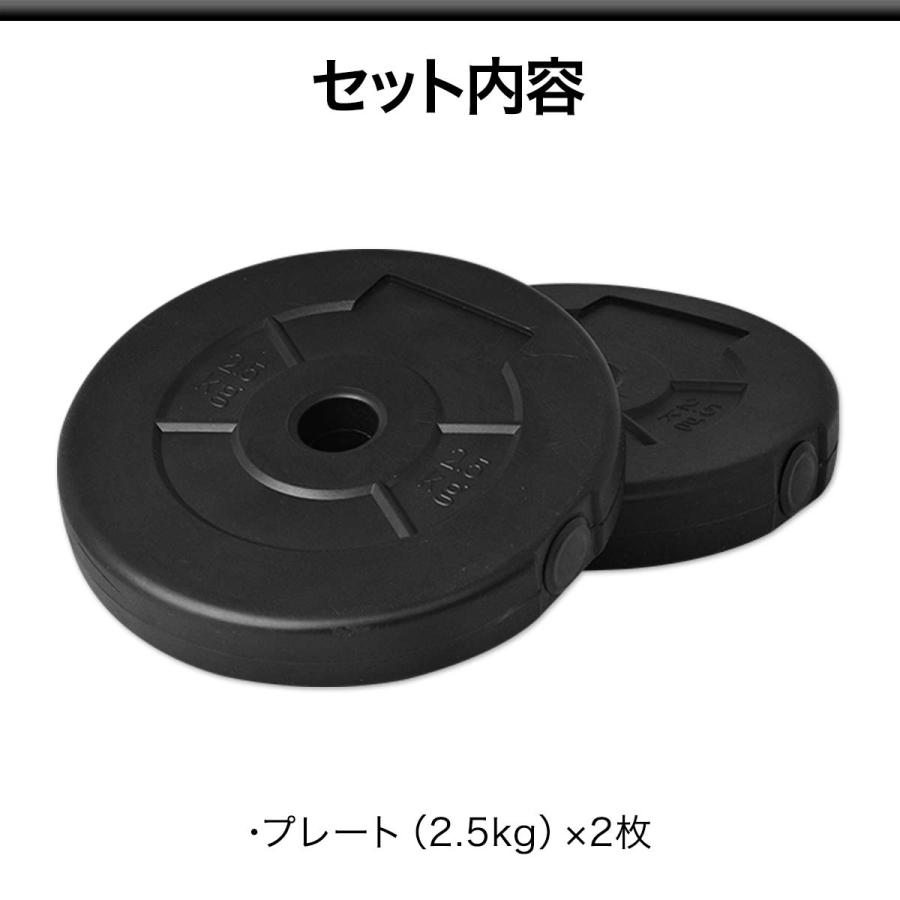 ダンベルセット用 2.5kg プレート 2個セット ウエイト 筋トレ 器具