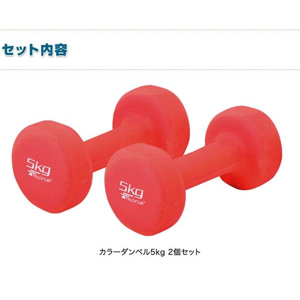 ダンベル 5kg 2個セット 合計10kg カラーダンベル 男女兼用 男性 女性