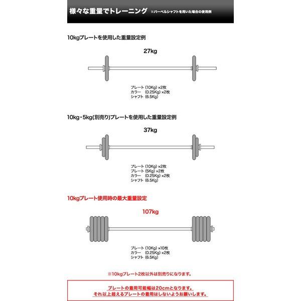 バーベル 用 プレート 10kg 2個セット ブラックアイアン 追加 バーベル 用 プレート 10kg 2個セット ブラックアイアン 追加