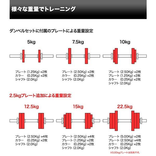 ダンベル バーベル 用 プレート 2.5kg 2個セット ブラック