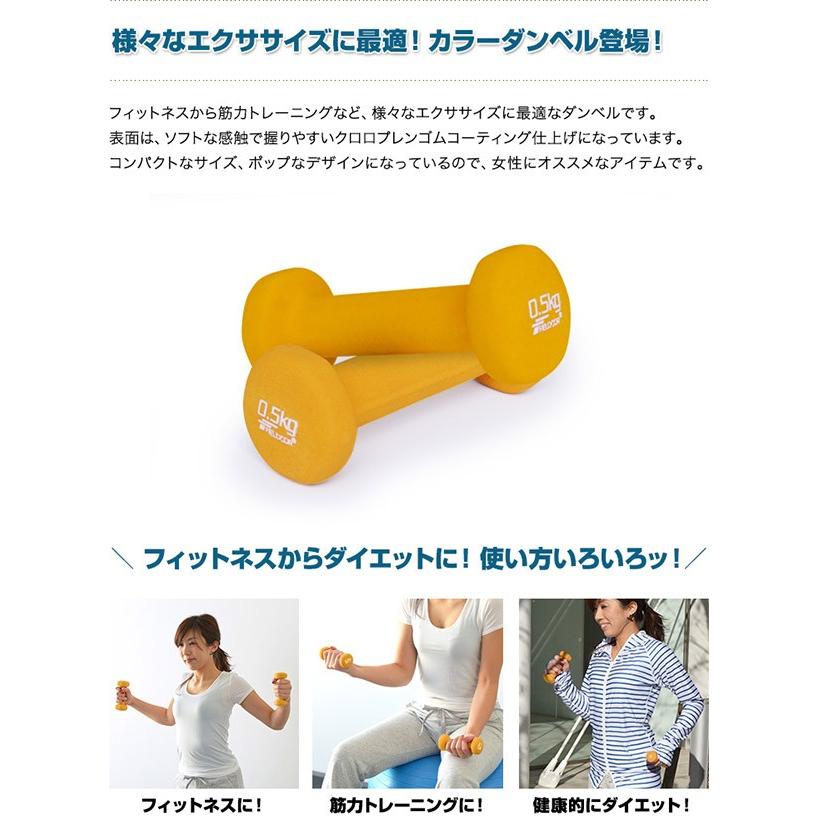 ダンベル 0 5kg 2個セット 合計1kg カラーダンベル 男女兼用 男性 女性 メンズ レディース 鉄アレイ 鉄アレー 筋トレ インナーマッスル 送料無料 Max A マックスシェアーヤフー店 通販 Yahoo ショッピング