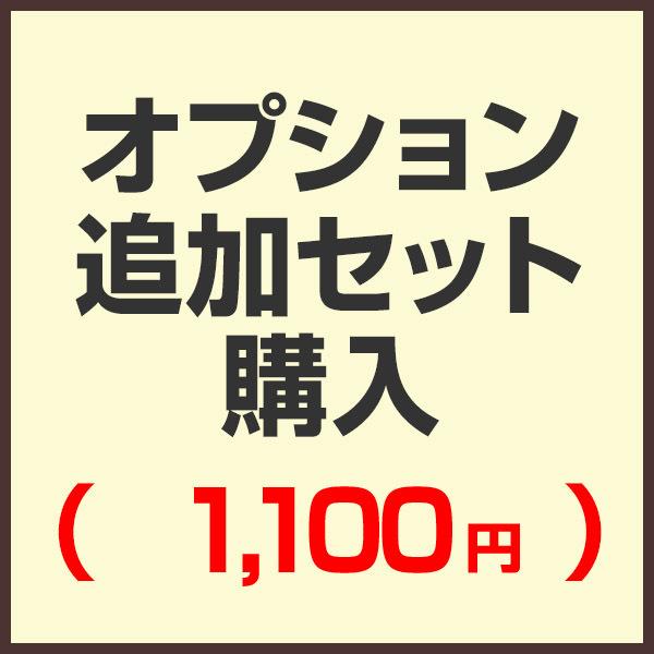 オプション追加セット購入ページ （セットで購入済みの為こちらから購入する必要はありません）（1,100円) | 
