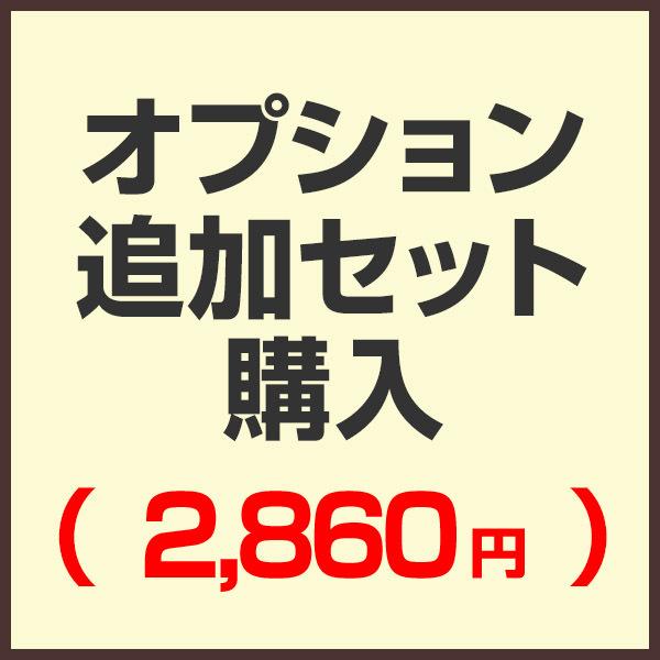 オプション追加セット購入ページ （セットで購入済みの為こちらから購入する必要はありません）（2,860円) | 