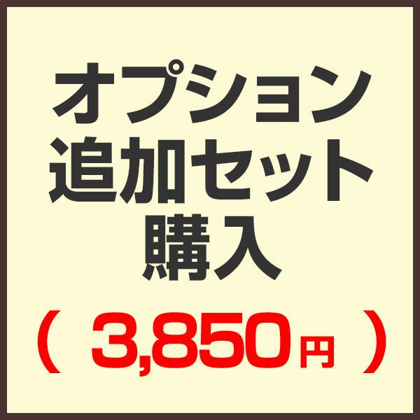 オプション追加セット購入ページ （セットで購入済みの為こちらから購入する必要はありません）（3,850円) | 