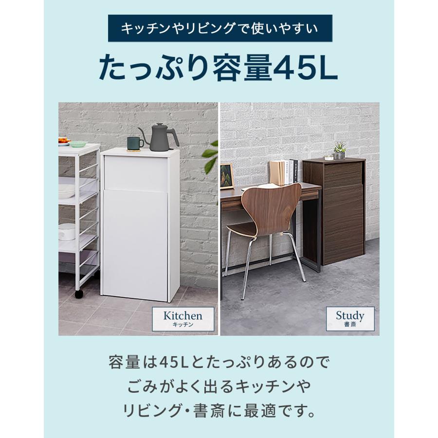 ゴミ箱 プッシュ式 45リットル ダストボックス スリム ふた付き 大容量