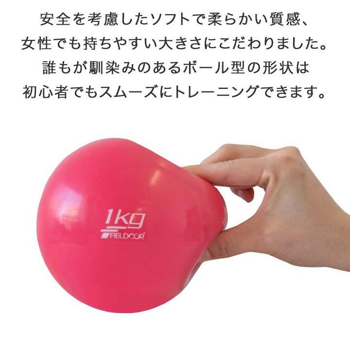 メディシンボール ウェイトボール 1kg ウェイト トレーニング ボール