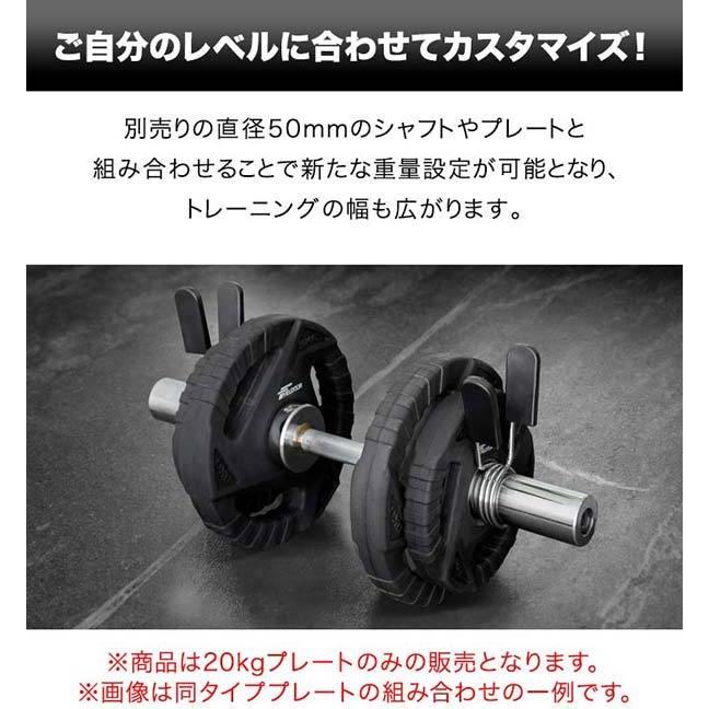 1年保証 ダンベルプレート 穴あき 20kg 1枚 単品 穴径50mm 追加