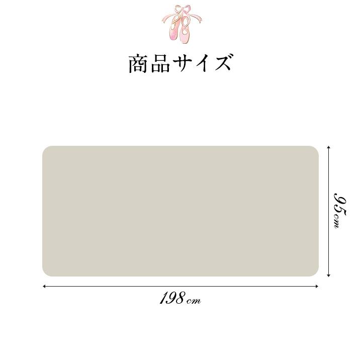 1年保証 バレエマット バレエ レッスンマット 95x198cm 厚さ2.5mm 滑りにくい PVC ダンスマット レッスンスタンド バレエレッスン スタンドレッスン 送料無料｜maxshare｜02