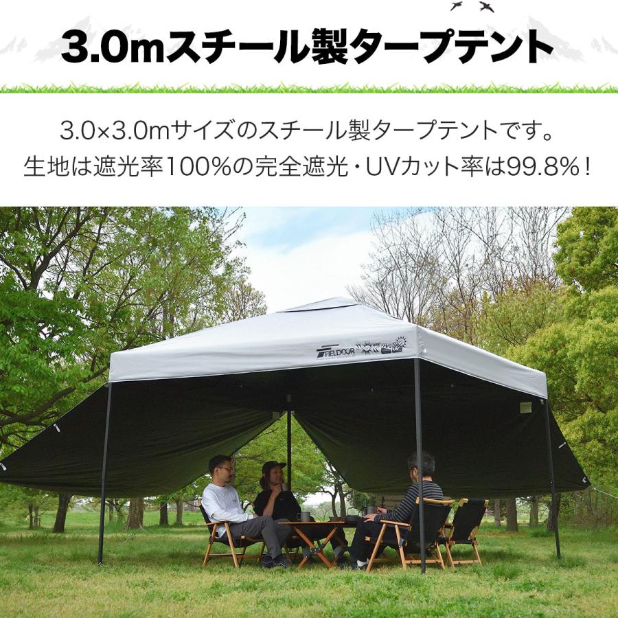 FIELDOOR（フィールドア） タープテント 3m スチール 屋根柱強化モデル