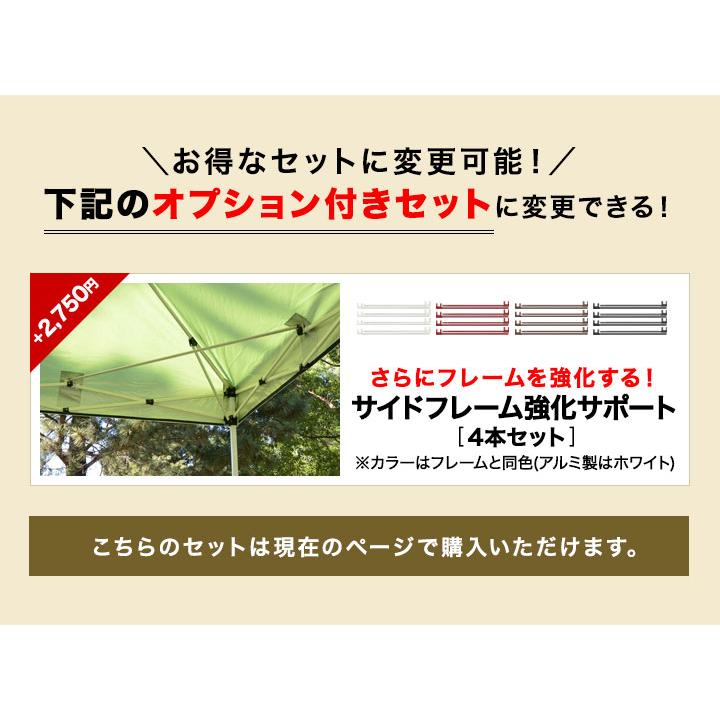 FIELDOOR（フィールドア） ワンタッチタープテント 2m×2m スチール