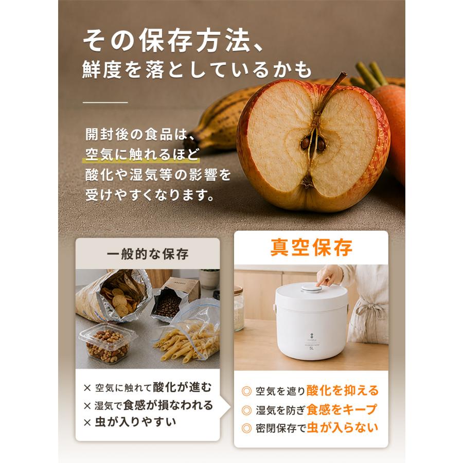 空保存容器 電動 フードストッカー ポンプ内蔵 米びつ 10L 大容量 USB