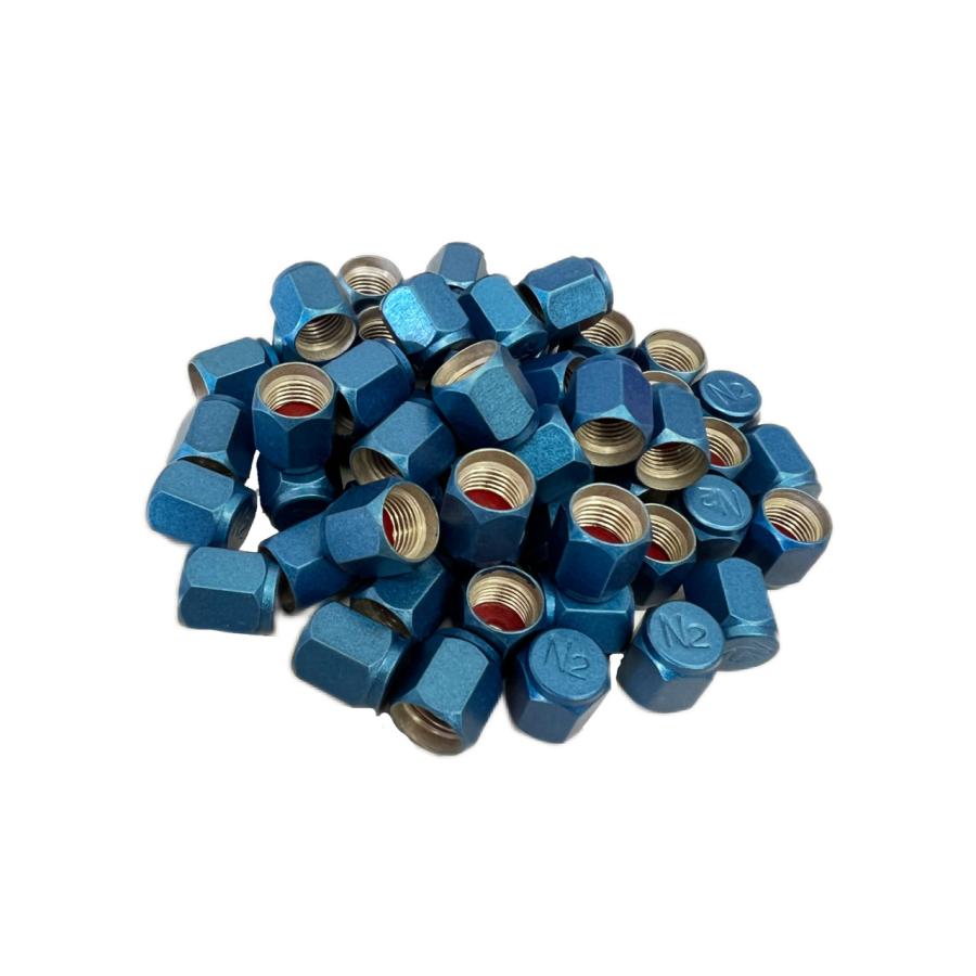 自動車 エアーバルブキャップ N2 窒素 N2タイヤバルブ ブルー 窒素ガス 4個 送料無料  TECH製 | 
