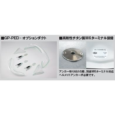 ヘルメット Arai GP-6 8859 アライ 四輪 レース用 スネルSA FIA8859 ホワイト |  | 01