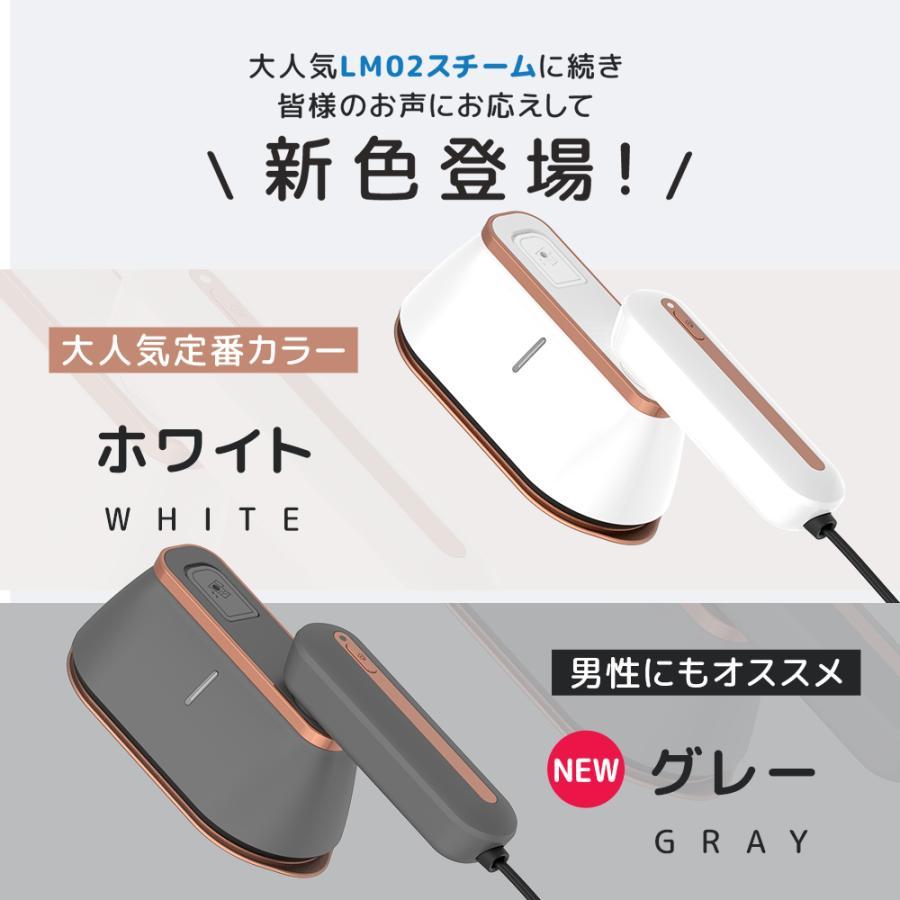 アイロン 強力 シワ伸ばし スチーム 衣類スチーマー 1台2役 アイロン