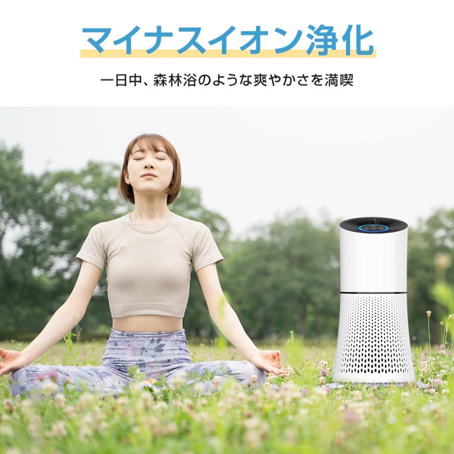 空気清浄機 花粉対策 PM2.5対応 23畳対応 除菌 脱臭 マイナスイオン