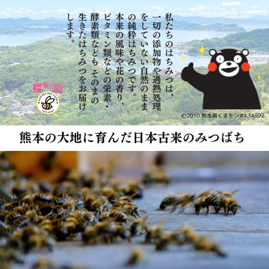 日本みつばち 国産はちみつ 純粋はちみつ 非加熱 蜂蜜 無添加 無農薬