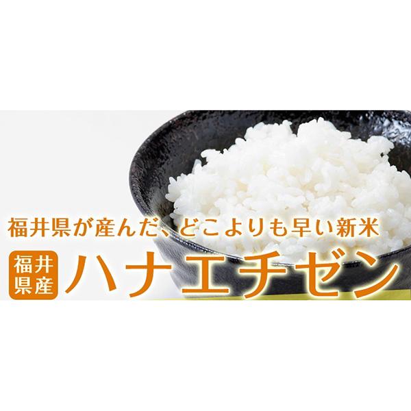 ハナエチゼン 令和七年度産 福井県産ハナエチゼン 15kg(5kg×3 