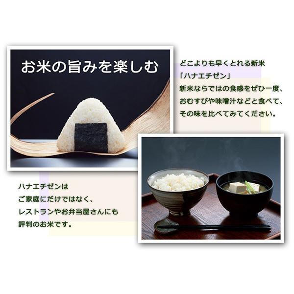 ハナエチゼン 令和七年度産 福井県産ハナエチゼン 15kg(5kg×3 