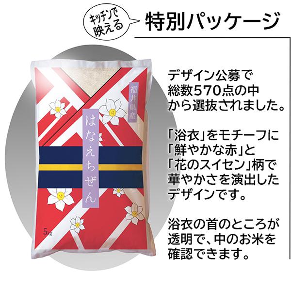 ハナエチゼン 令和七年度産 福井県産ハナエチゼン 15kg(5kg×3 
