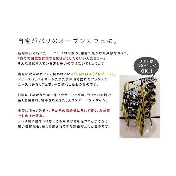 PLS-CH-2P-BLK ガーデンチェア プレジール 2脚セット ブラック メーカー直送 【ブランコイービス】
