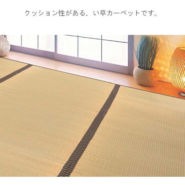 イケヒコ・コーポレーション 1020451012802 敷物 帖物(い草) ふっくら上敷 雅 352×352cm メーカー直送_3