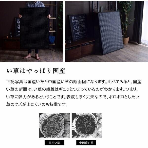 イケヒコ・コーポレーション 1110781121738 マットレス 三つ折り 日本 国産 畳 カビ防止 フロアマット グリーン 約100×210cm メーカー直送_8