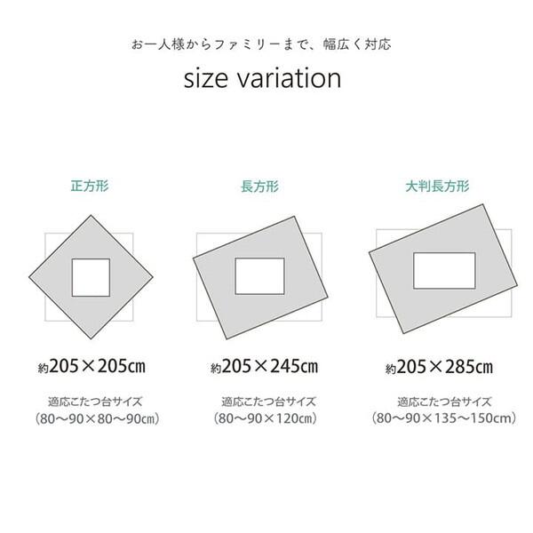 イケヒコ・コーポレーション 1181830060511 グランド 大判長方形5尺 掛