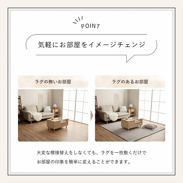 イケヒコ・コーポレーション 1280311121403 ラピアス 4畳 PGN 200X300 ピスタチオグリーン メーカー直送_6