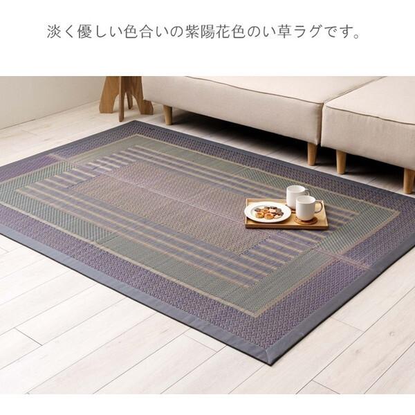 イケヒコ・コーポレーション 1051961013904 敷物 ラグ(い草)DXオルシャ 191×250cm メーカー直送_3